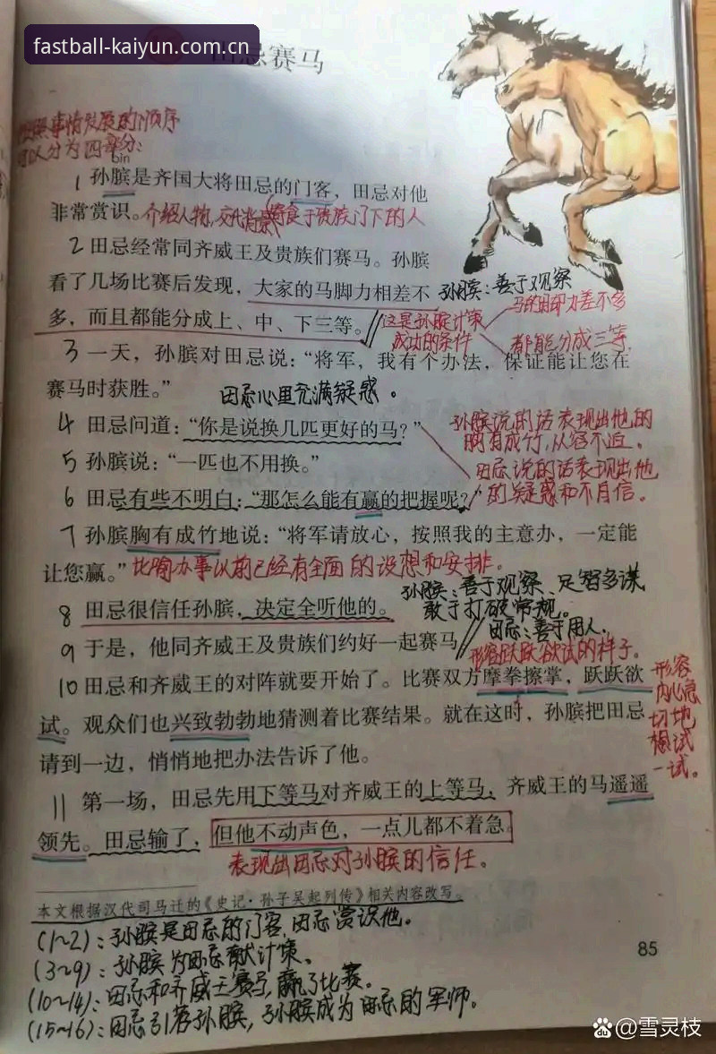 从马略卡到莱比锡：一位新手的观赛入门笔记